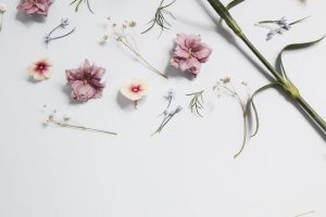 fleurs coupés pour lotion eaux florales